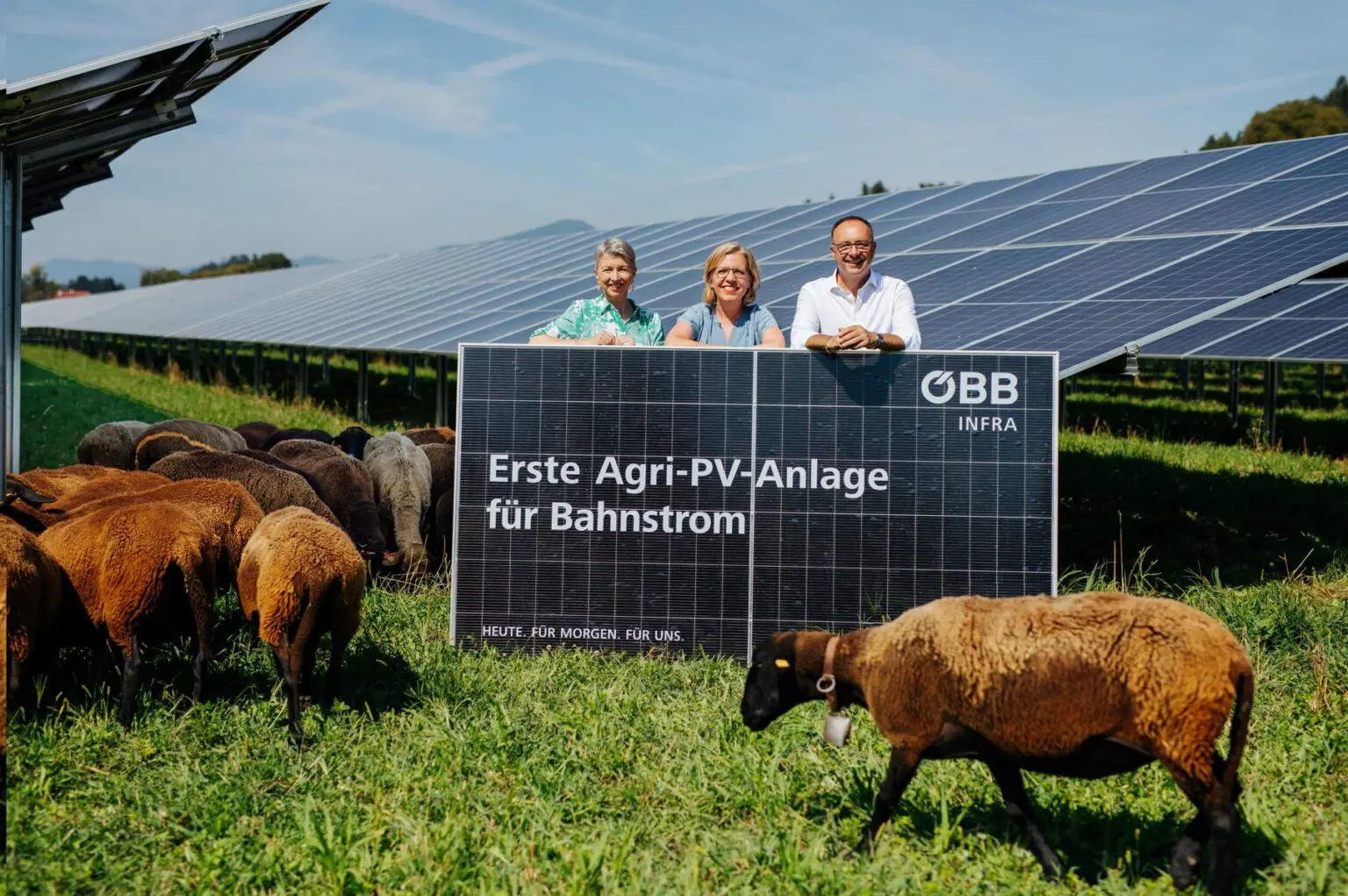 K1600_Agri-PV-Anlage-Thalsdorf-1536x1021-1