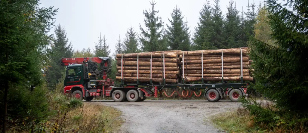 Doll Logo 21 bei Körner Holztransporte 01-main