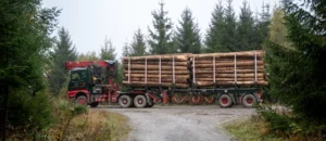 Doll Logo 21 bei Körner Holztransporte 01-main